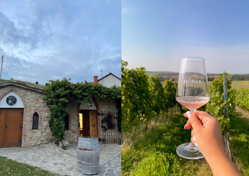 Návrh bez názvu (3).png