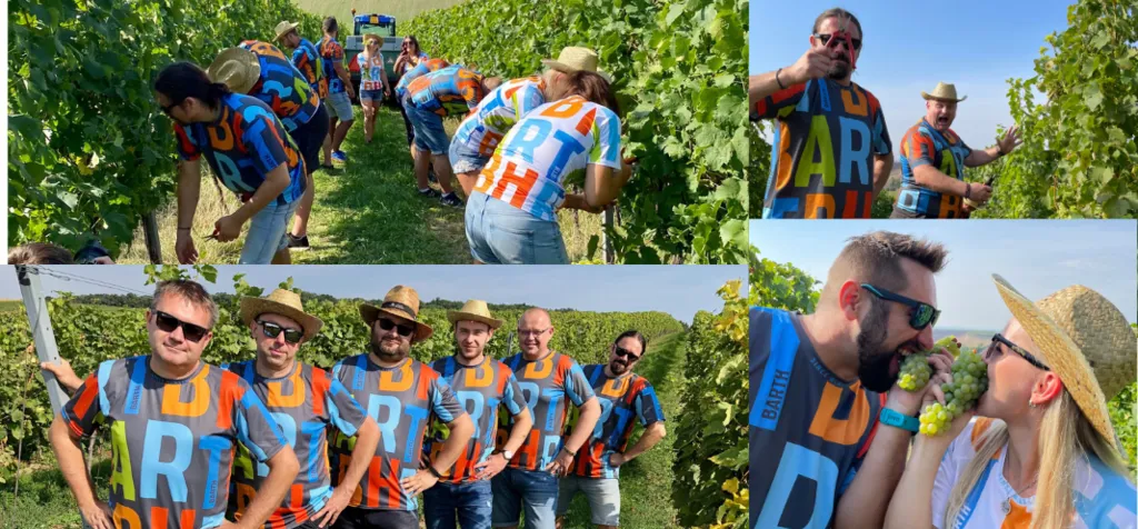 Návrh bez názvu (5).png