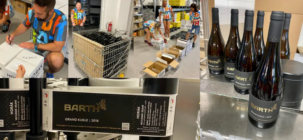 Návrh bez názvu (7).png